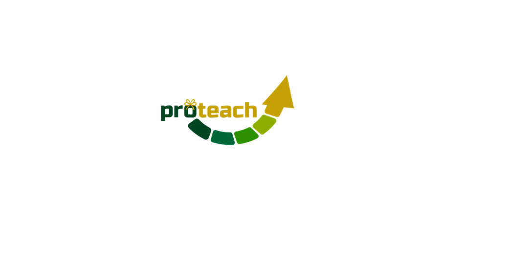 Facultatea de Psihologie și Științele Educației parteneră în proiectul Erasmus + ”Promoting teachers’ success in their induction period – Proteach”