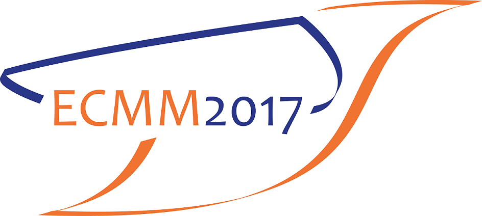 Cea de-a VI-a Conferință Europeană de Magnetism Molecular, organizată în parteneriat cu Universitatea din București